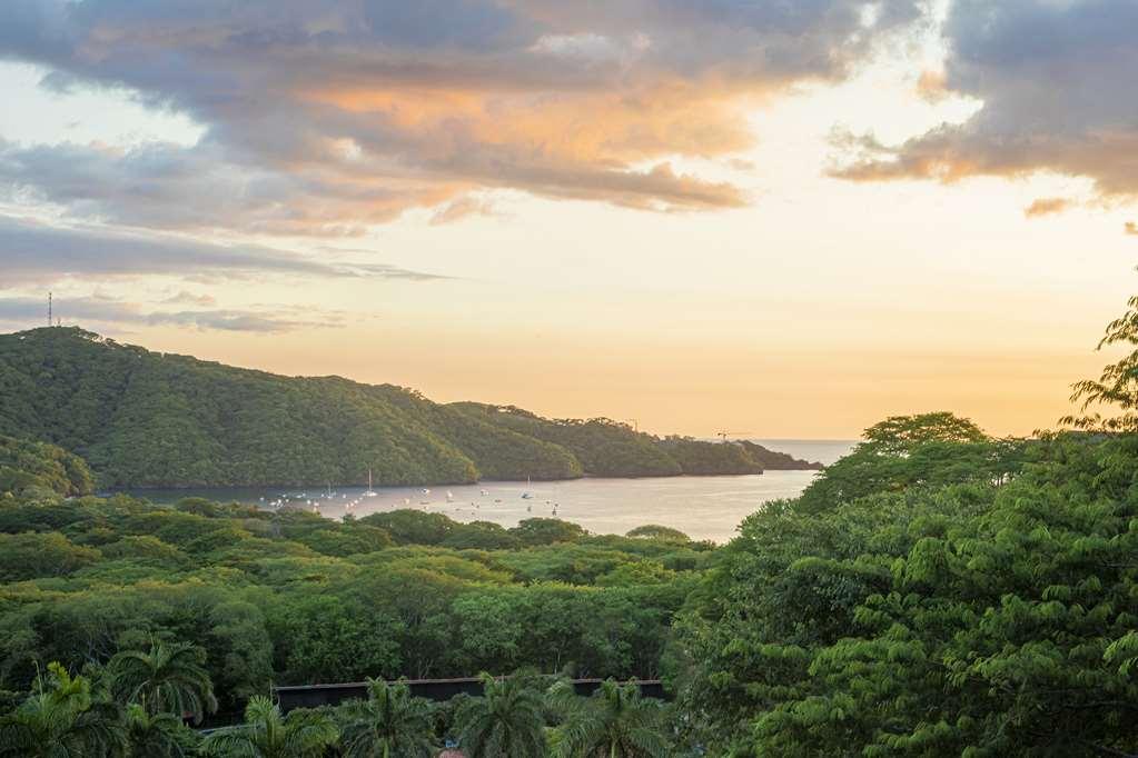 Villas Sol And Beach Resort Playa Hermosa  Natur foto